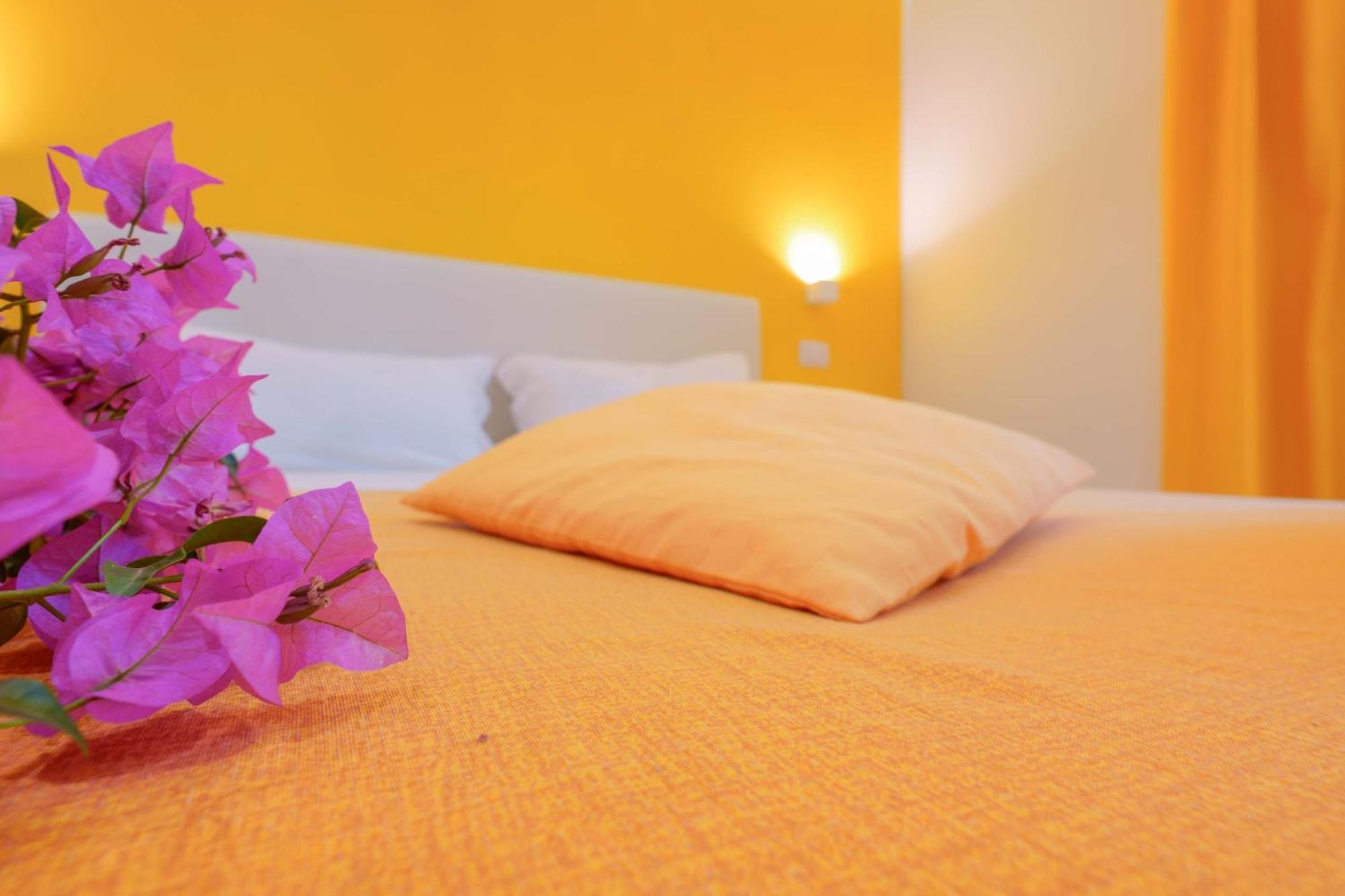 Insula Bed & Breakfast