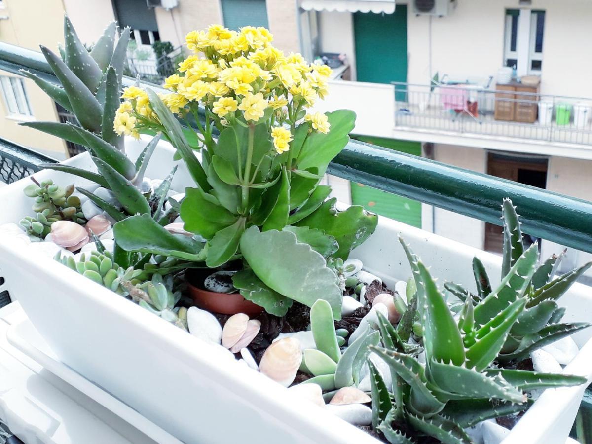 Frühstückspension Insula Cagliari
